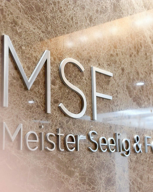 Meister Seelig & Fein PLLC